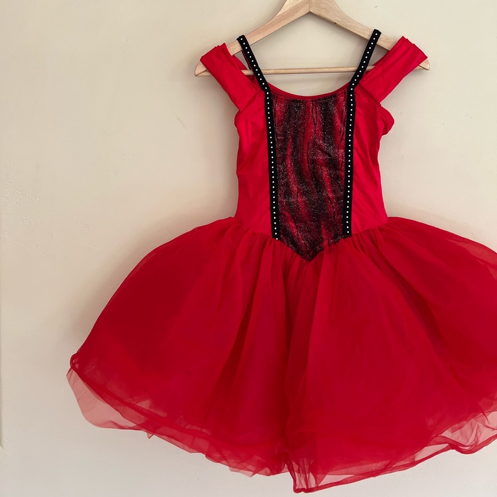 Ruby Gem Costume - image 1